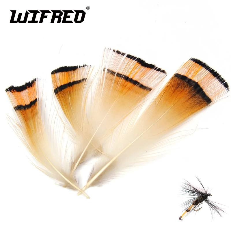 자연 색상 황금 꿩 머리 문장 깃털 플라이 묶는 코치맨 - Fishing Equipment Brands 리뷰 및 가격