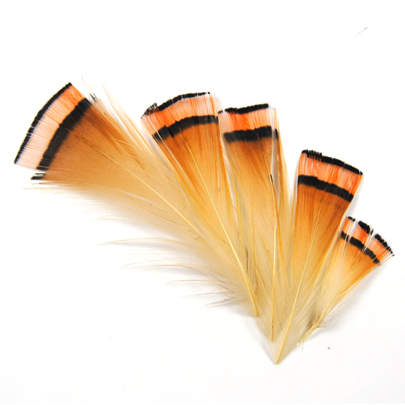 자연 색상 황금 꿩 머리 문장 깃털 플라이 묶는 코치맨 - Fishing Equipment Brands 리뷰 및 가격